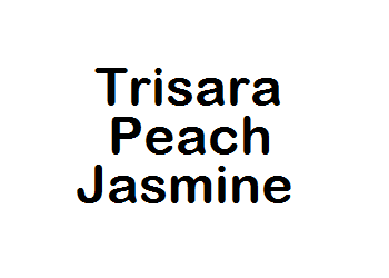 Trisara Peach Jasmine